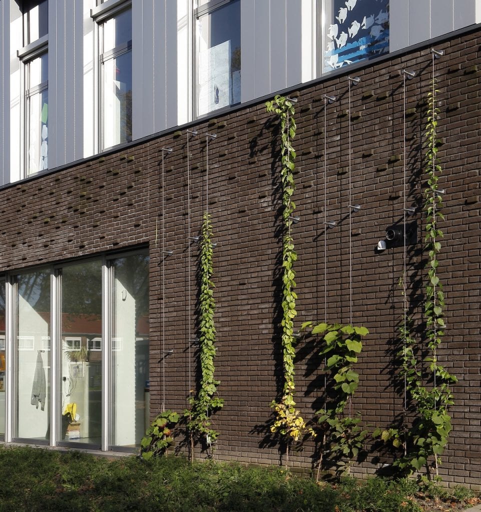 verticale kabel huizingaschool Carl Stahl Green Walls