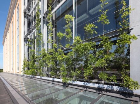 Powerhouse Eindhoven groene gevel horizontale spankabels Carl Stahl